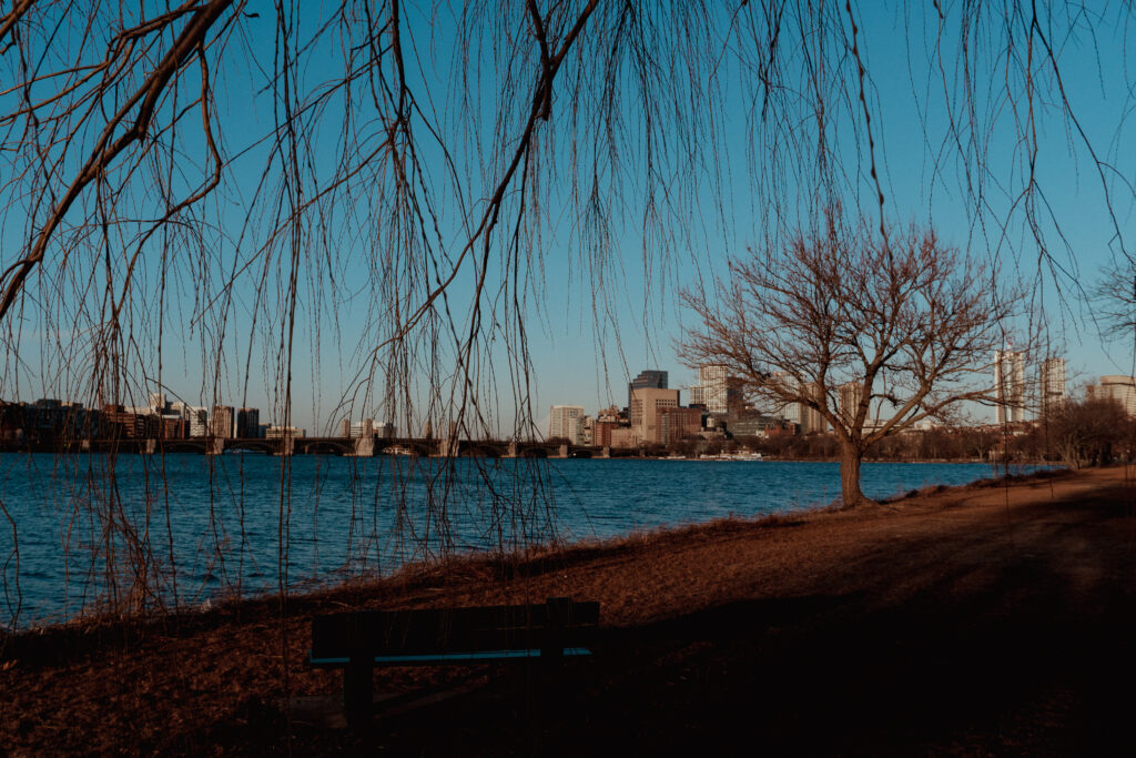 The Charles River shines at sunset. It is very nice place to visit on your solo trip to Boston. 