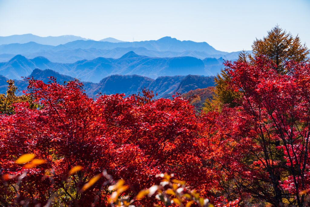 Usui Pass in fall