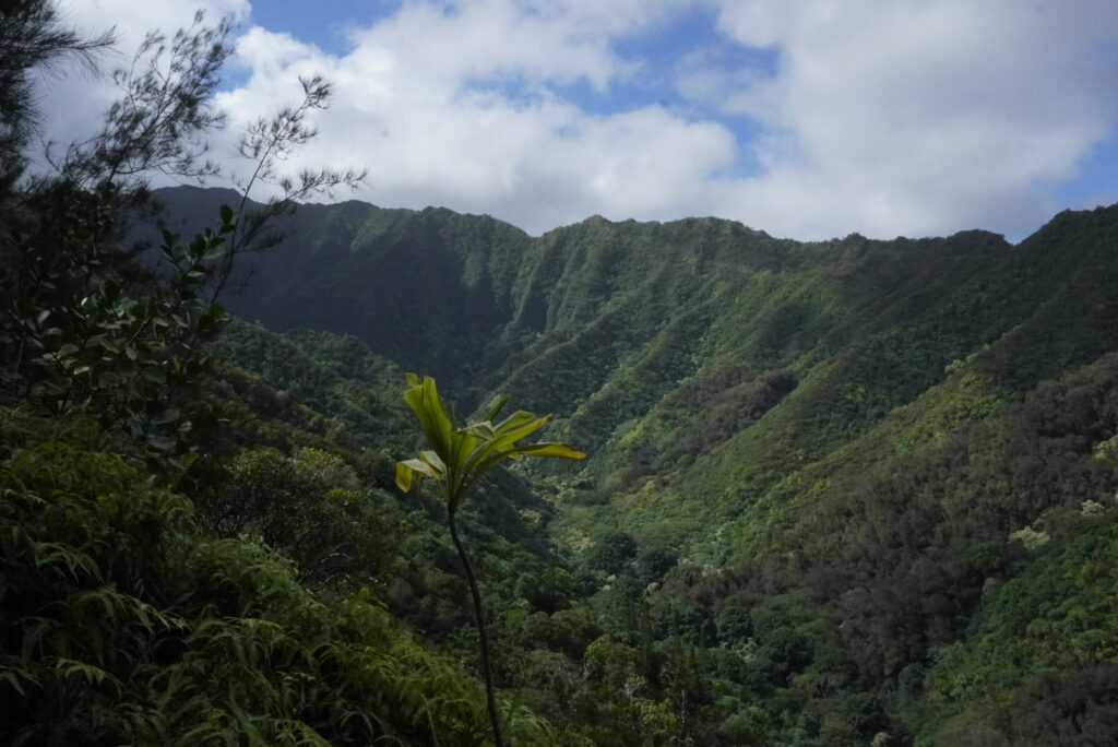 Hauula Loop Trail lacks grand views but this view with the sky and mountains in the background is still breath-taking. 