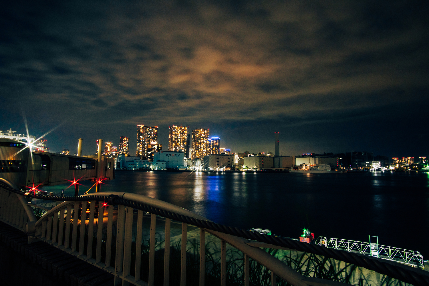 The night view from the Takeshiba Pier. 
