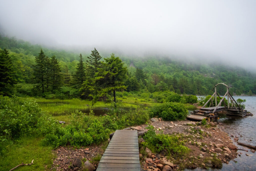 A foggy trail in Acadia National Park. 