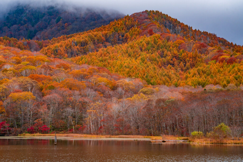 The Kagami ike pond in fall in Japan.