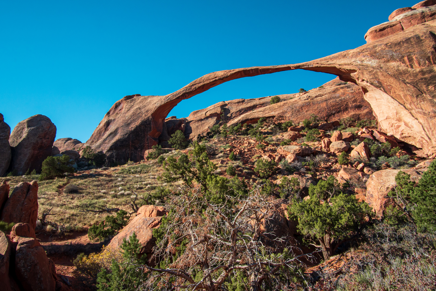 The Landscape Arch at Arches National Park.