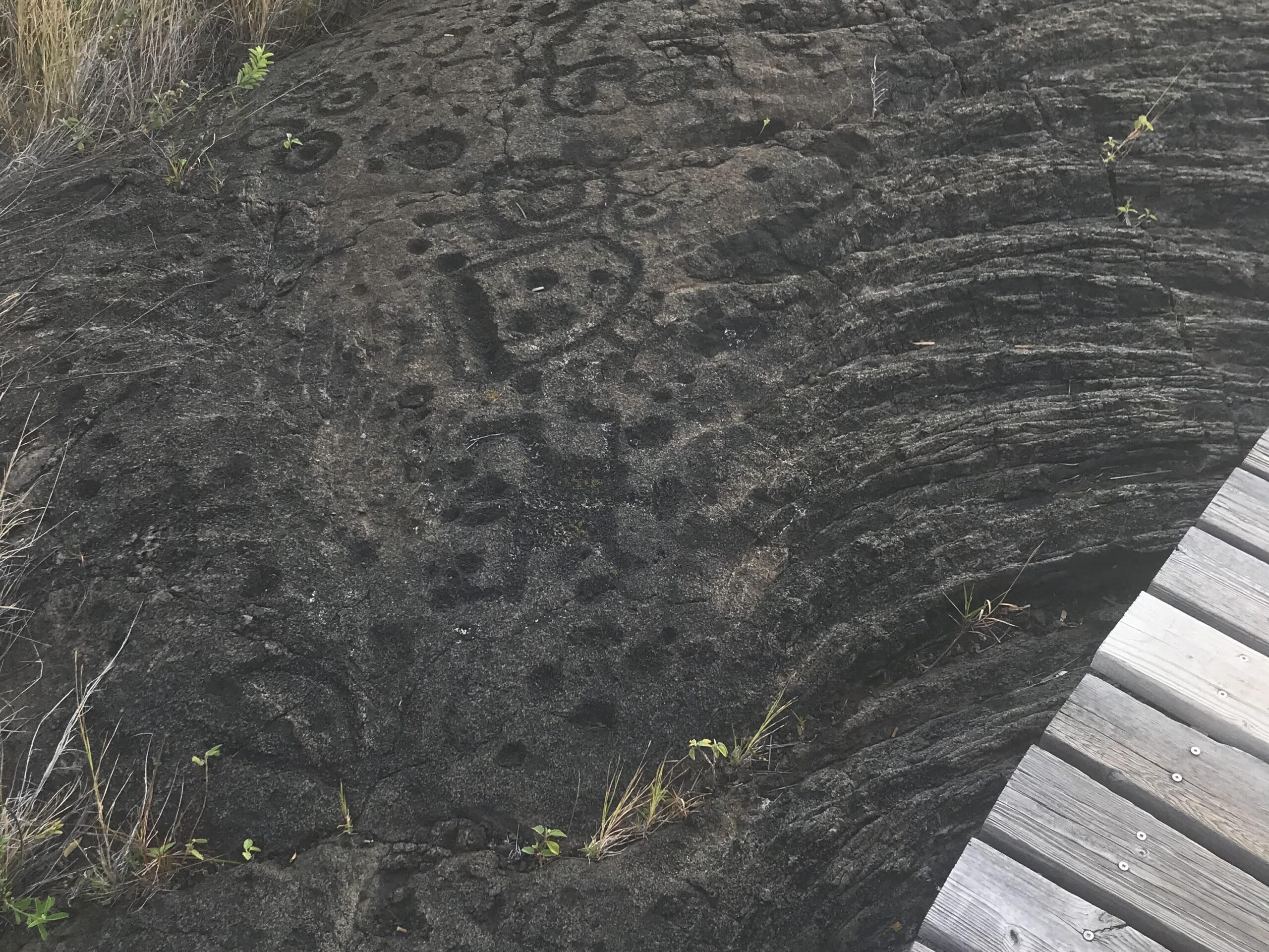 Petroglyphs along the Puu Loa Trail