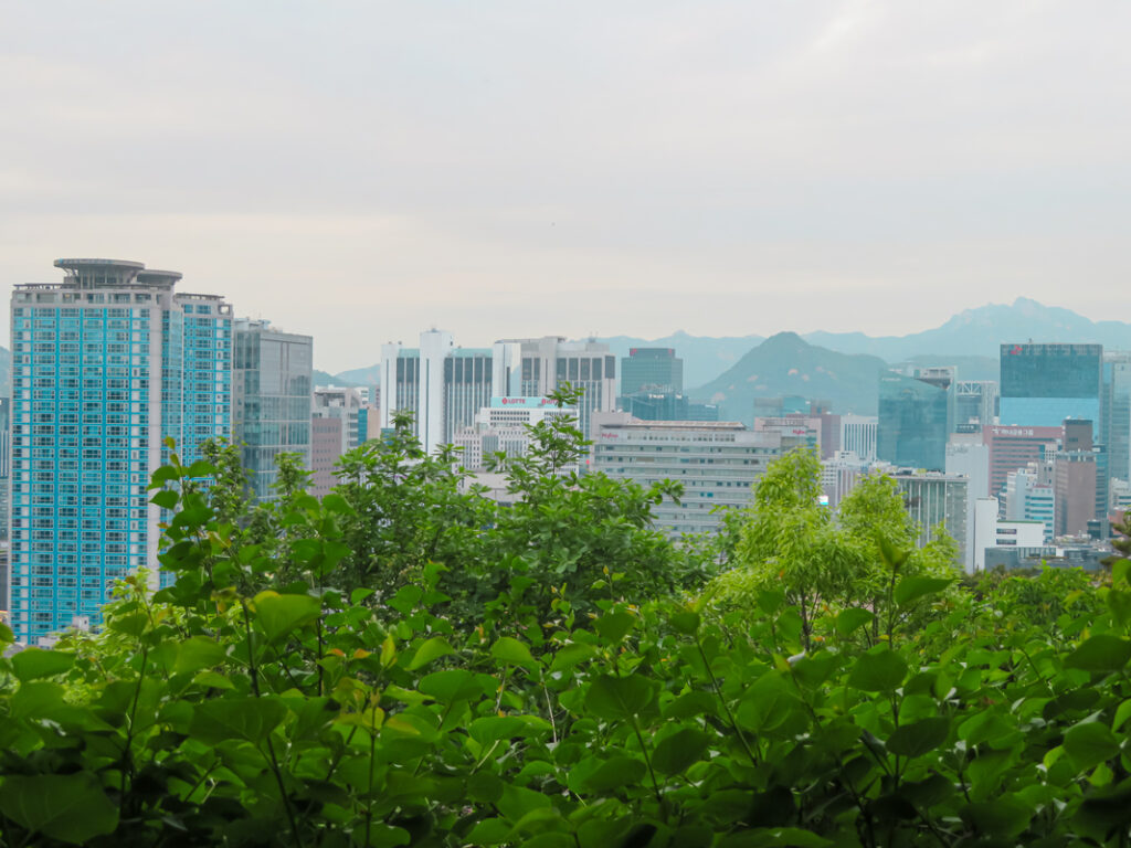 a viewpoint of the city of seoul