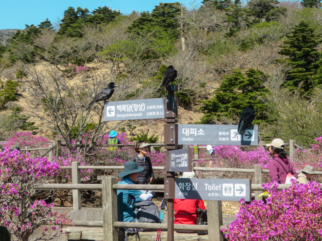 A trail sign on the Mount Hallasan Trail on Jeju Island.