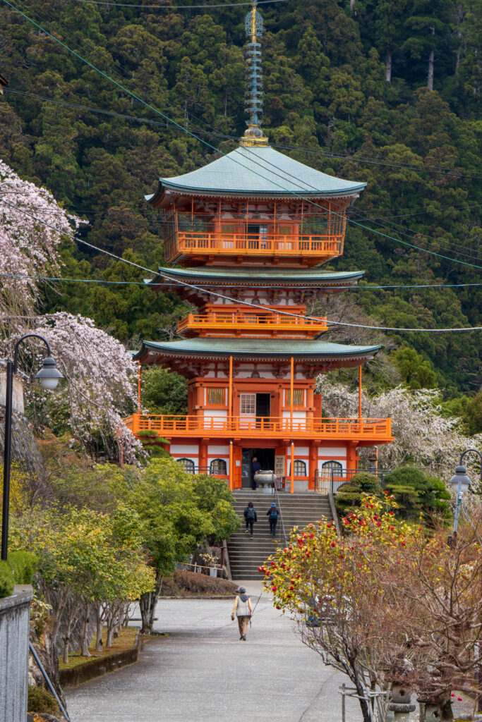 Seiganto-ji Pagoda during spring