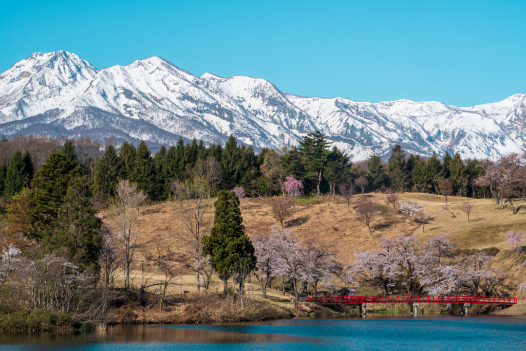 An epic view of Mt. Myoko during cherry blossom season