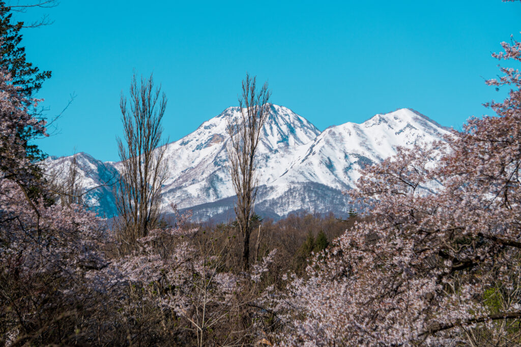 Mt. Myoko during cherry blossom season in Japan