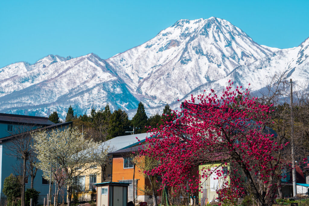 Mt. Myoko during spring