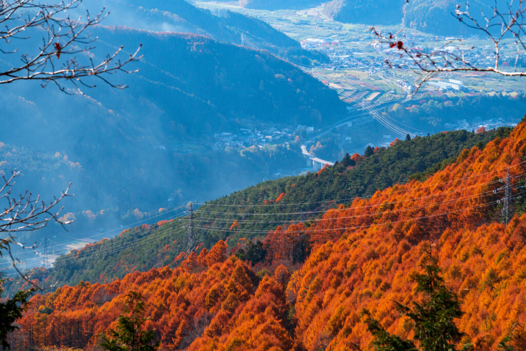 Views of leaves changing in Shigs Kogen