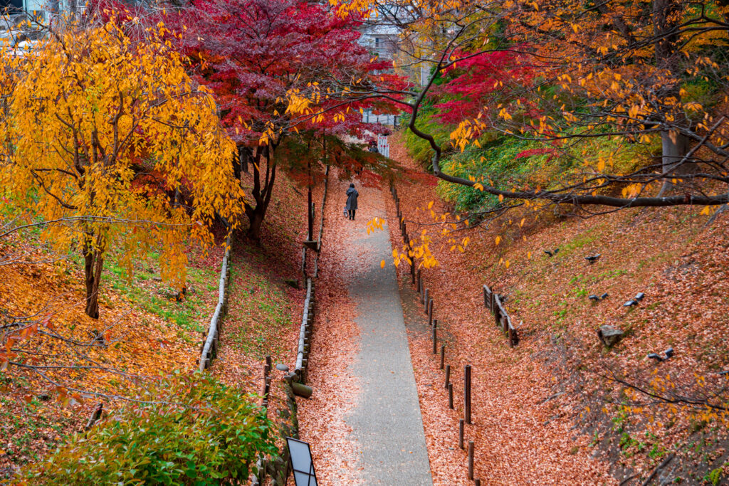 Fall colors in Japan at Ueda Castle