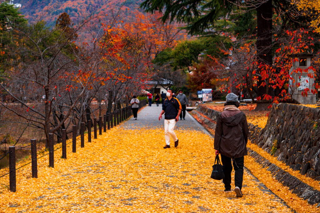 Leaves on the ground at Ueda Castle Park