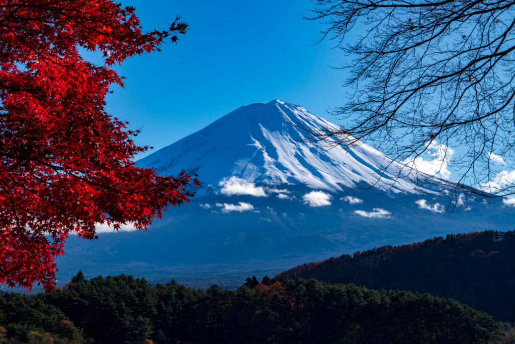 Mt. Fuji during Autumn