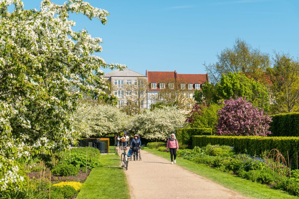The Kings Garden bursts with color in May in Copenhagen. Visiting here is a must during a solo trip to Copenhagen.