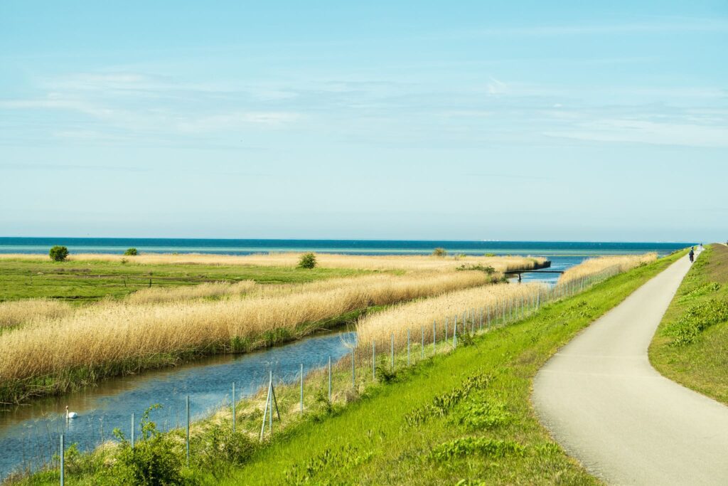 A bike path on the island of Amager near Copenhagen.