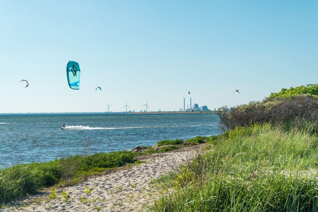 Parasails blow in the wind at a beach near Copenhagen