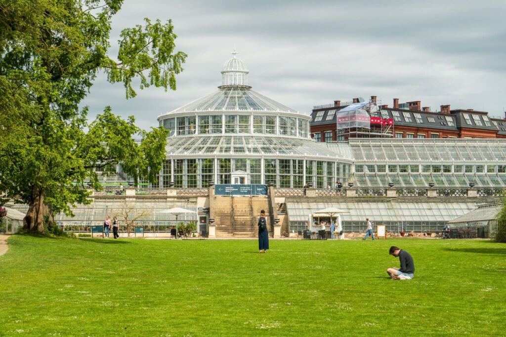 The Palm House in Copenhagen offers visitors a chance to see exotic plants.
